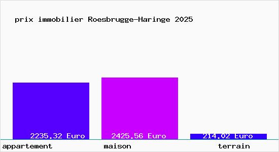 prix immobilier Roesbrugge-Haringe